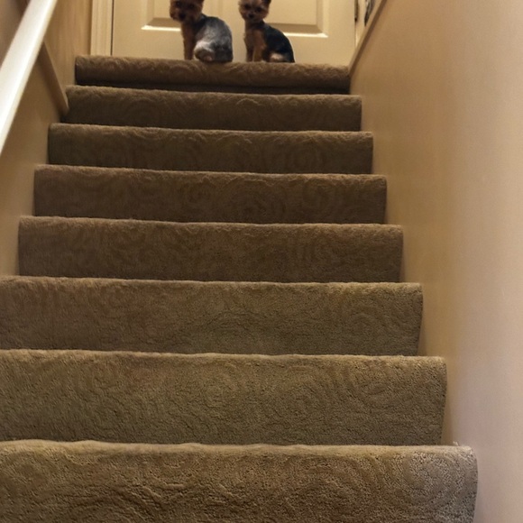 Nike Air Force 1 color block, rare and hard to find with unique fur trim - Picture 2 of 5